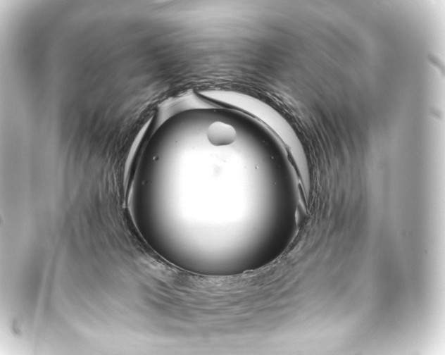 X0000093760037200710301154