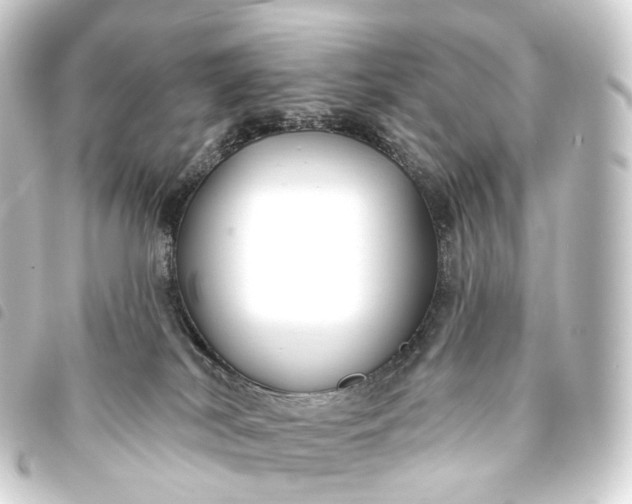 X0000093760038200710301154