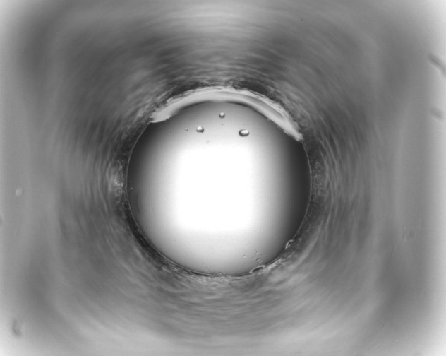 X0000093760040200710301154