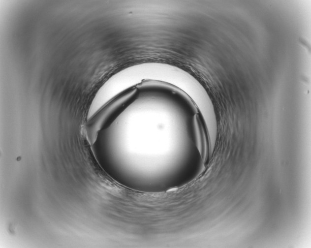 X0000093760041200710301154