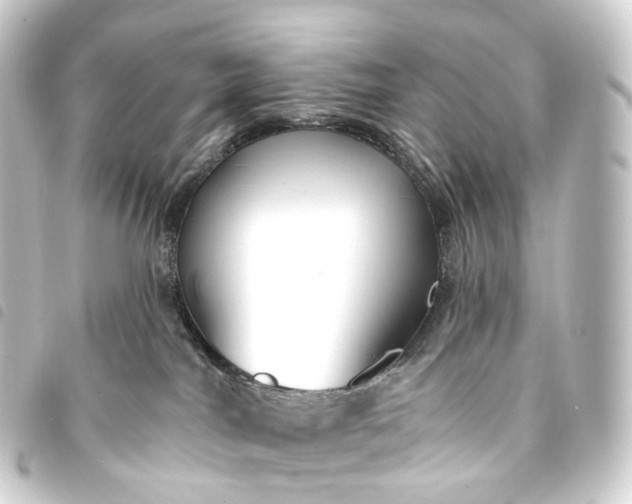 X0000093760044200710301154