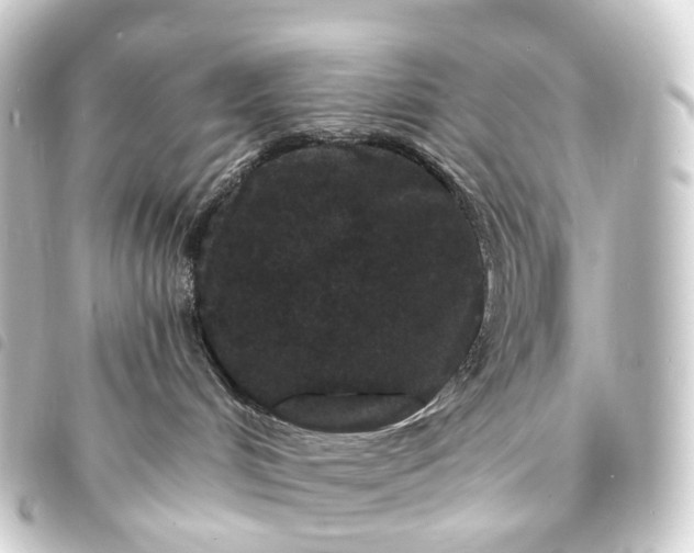 X0000093760048200710301154