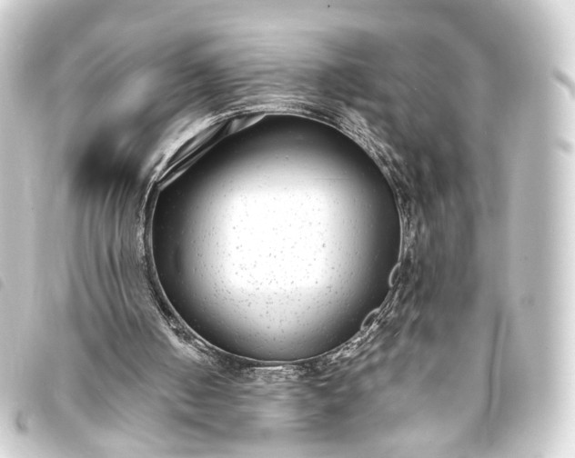 X0000093760050200710301153