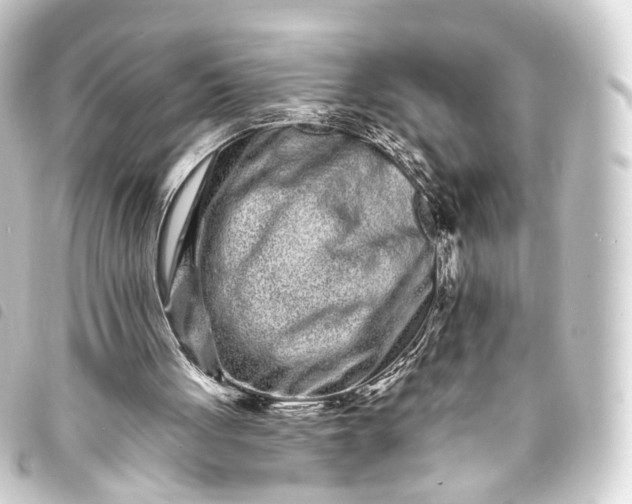 X0000093760051200710301153