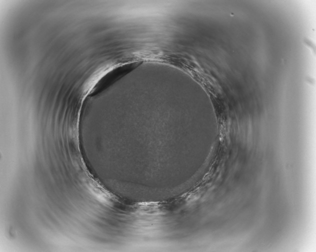 X0000093760052200710301153