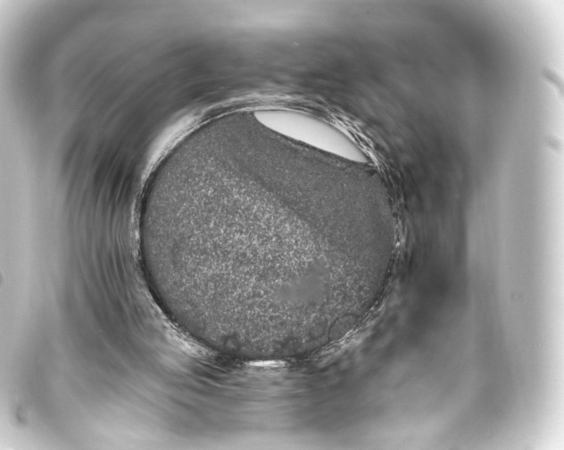 X0000093760053200710301153