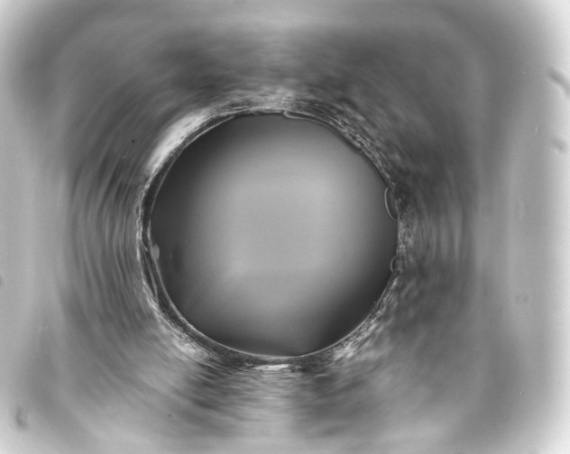 X0000093760054200710301153