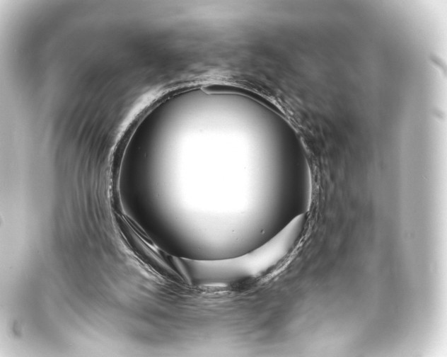 X0000093760056200710301153