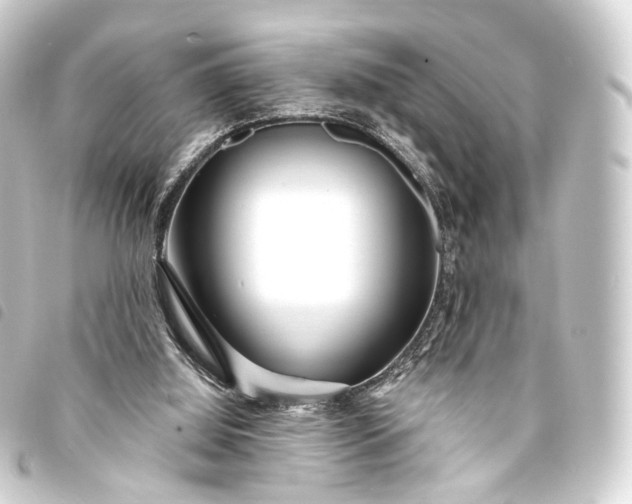 X0000093760060200710301153