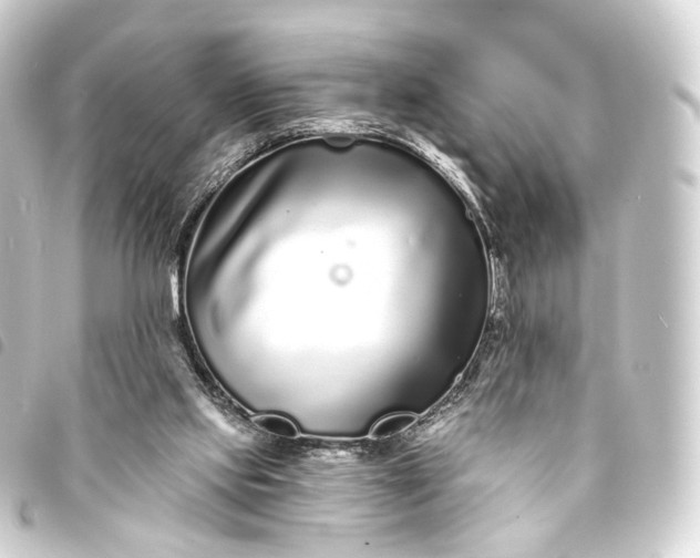 X0000093760061200710301153