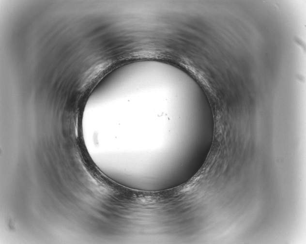 X0000093760062200710301153