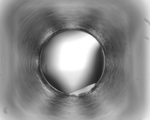 X0000093760063200710301153