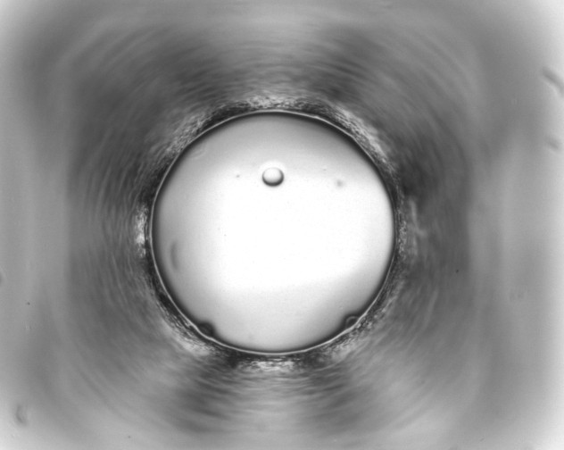 X0000093760065200710301153