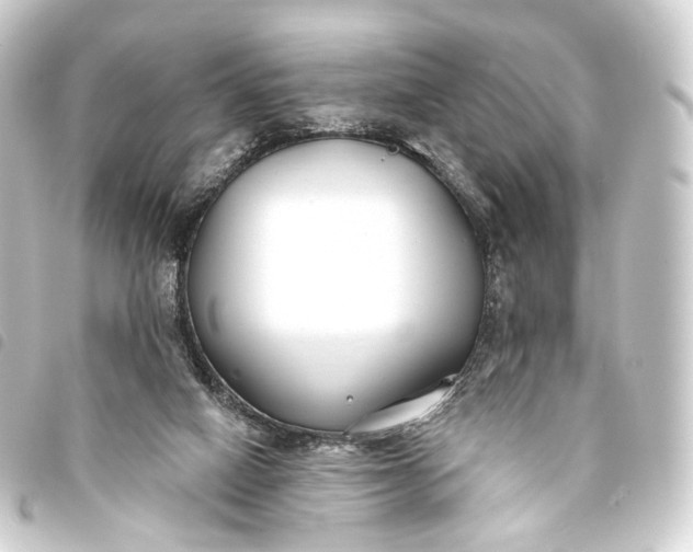 X0000093760066200710301153