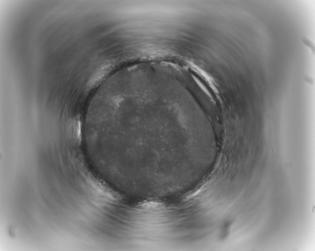 X0000093760067200710301153