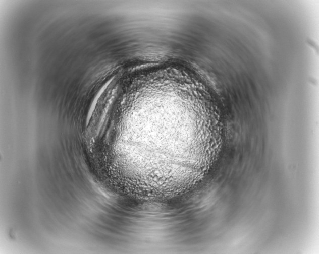 X0000093760069200710301153