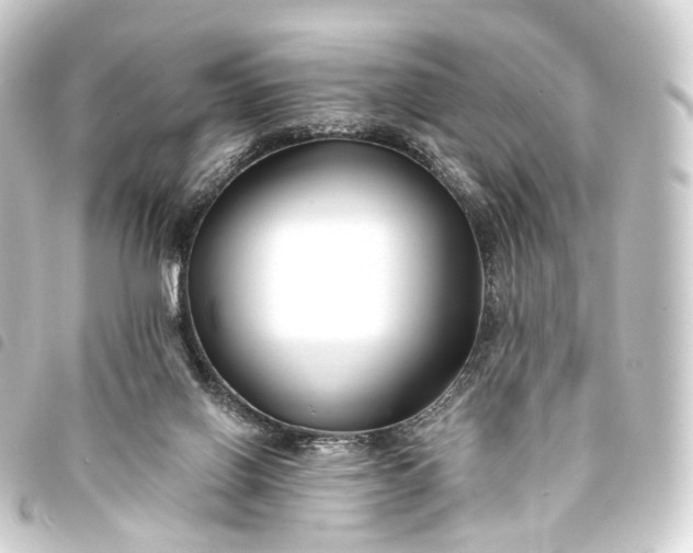 X0000093760070200710301153