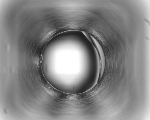 X0000093760072200710301153