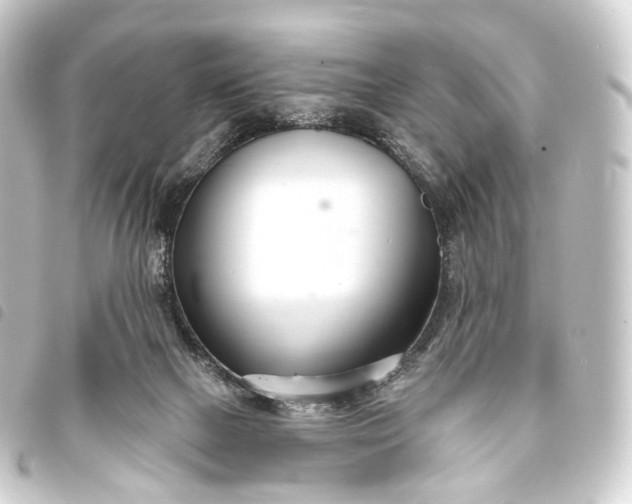 X0000093760073200710301153