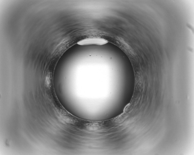 X0000093760074200710301153