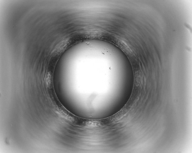 X0000093760077200710301153