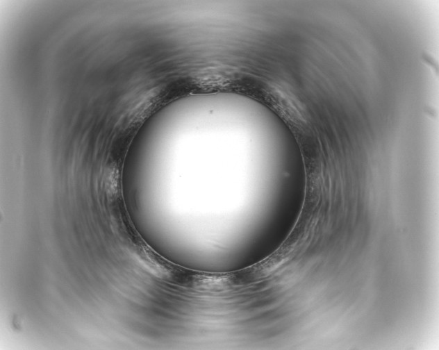 X0000093760081200710301153