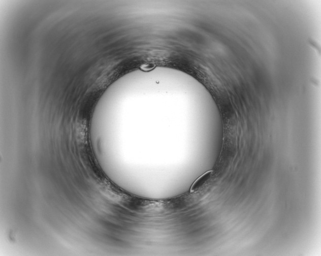 X0000093760083200710301153