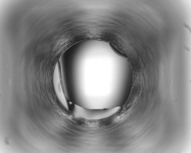 X0000093760084200710301153