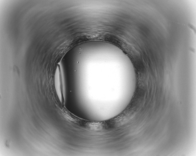 X0000093760085200710301153