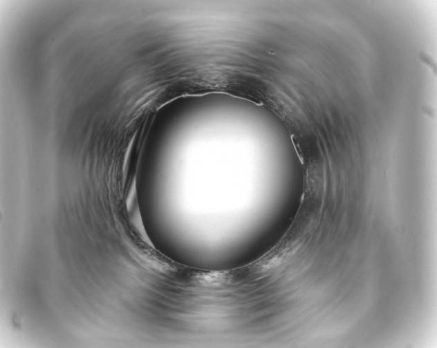 X0000093760092200710301153