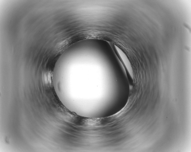 X0000093760094200710301153