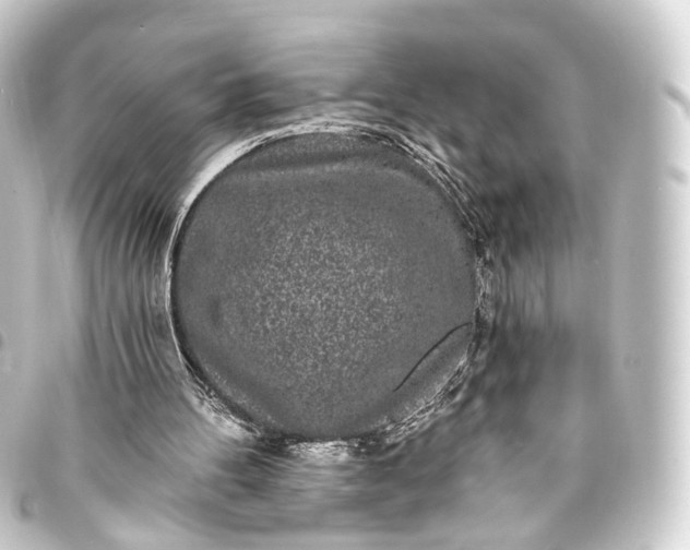 X0000093760100200710301153