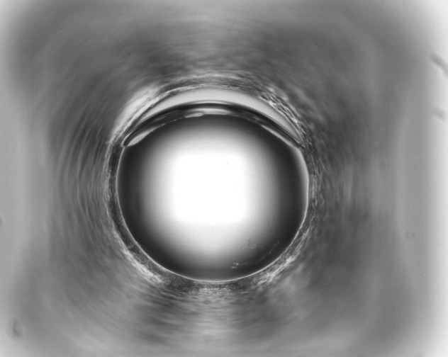 X0000093760101200710301153