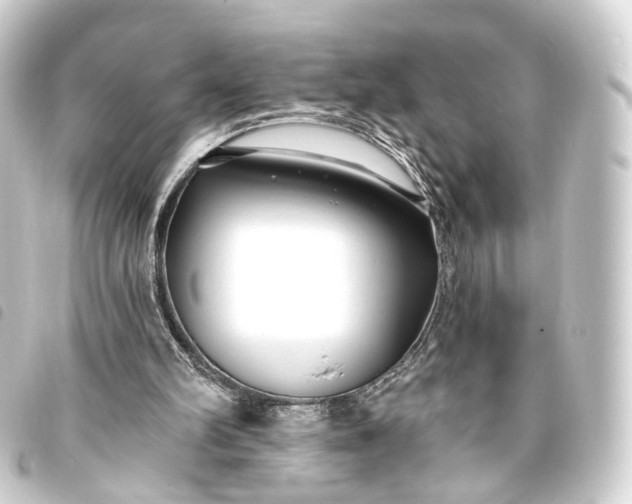 X0000093760102200710301153