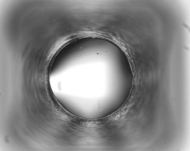 X0000093760103200710301153