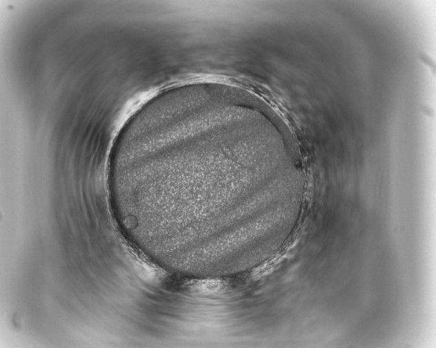 X0000093760104200710301153