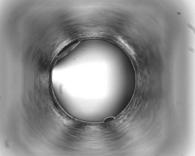 X0000093760107200710301153