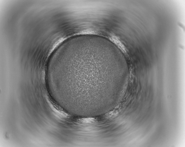 X0000093760108200710301153