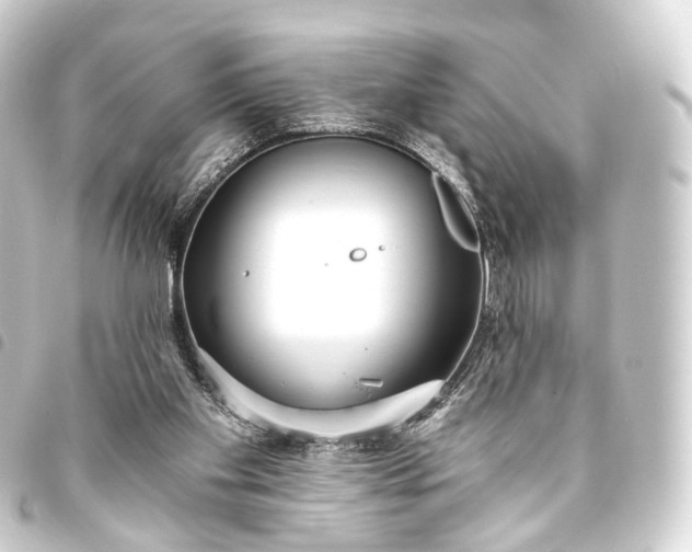 X0000093760109200710301153