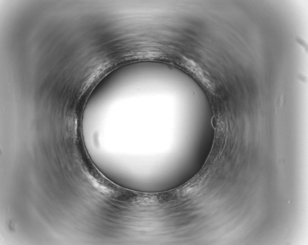 X0000093760110200710301153