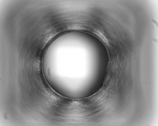 X0000093760111200710301153