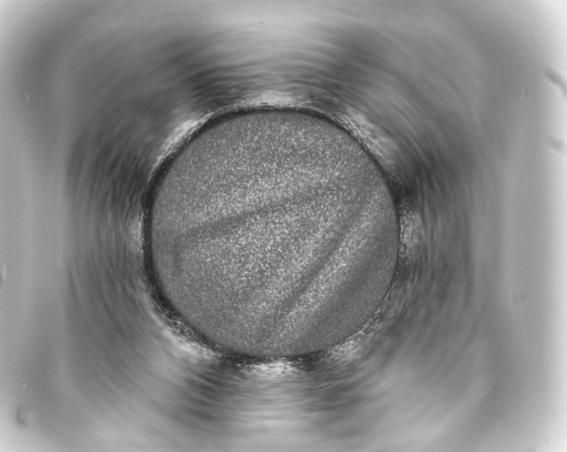 X0000093760112200710301153