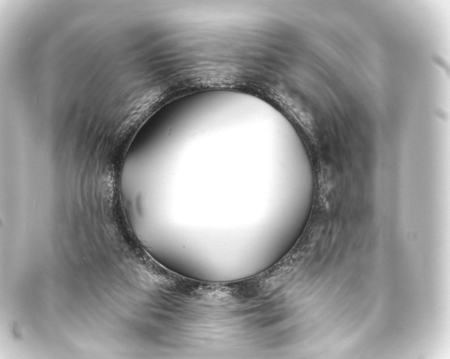 X0000093760113200710301153