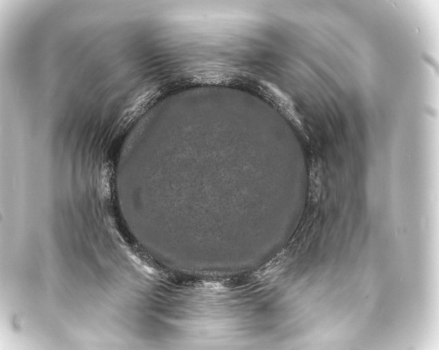 X0000093760114200710301153