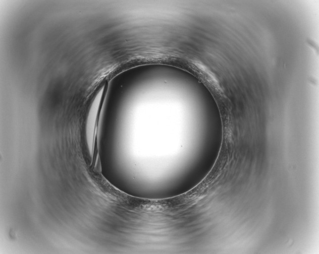 X0000093760115200710301153