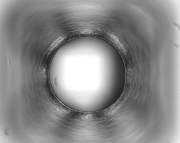 X0000093760116200710301153