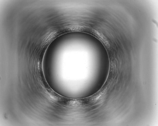 X0000093760117200710301153