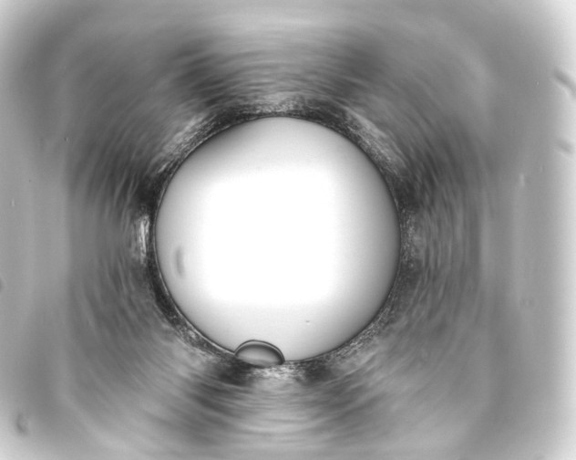 X0000093760118200710301153