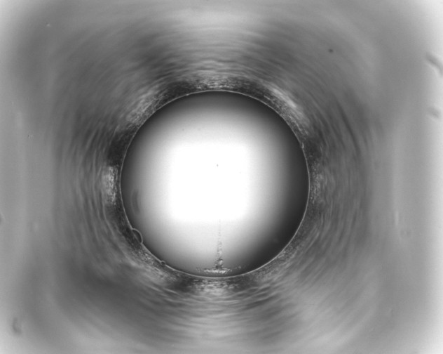 X0000093760121200710301152