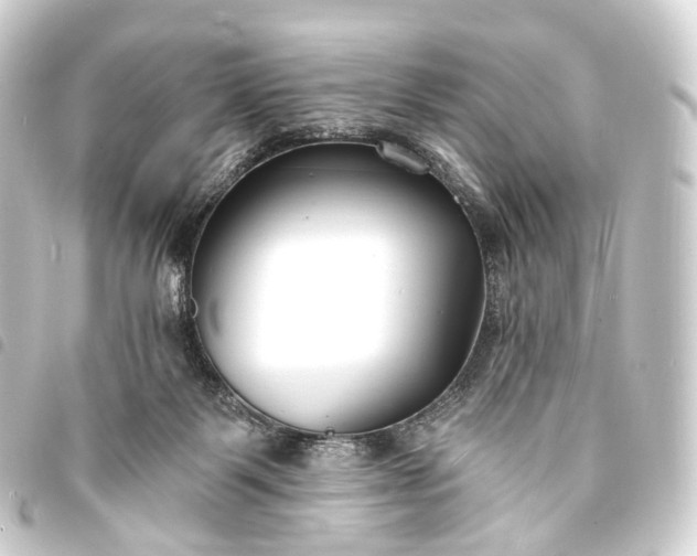 X0000093760123200710301152